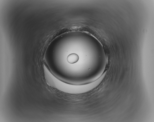 X0000114121441200910131353