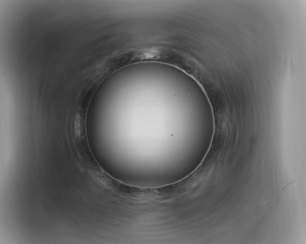 X0000114121442200910131353