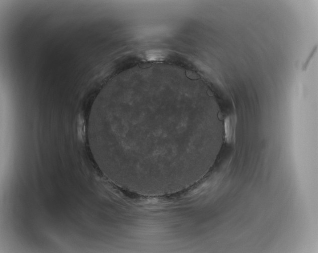 X0000114121443200910131353