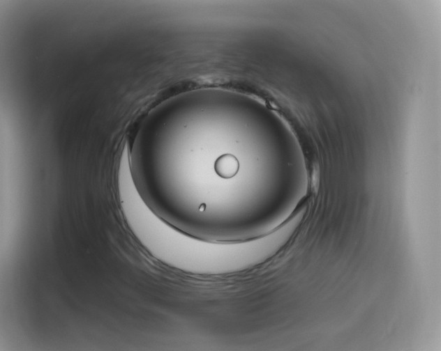 X0000114121444200910131353