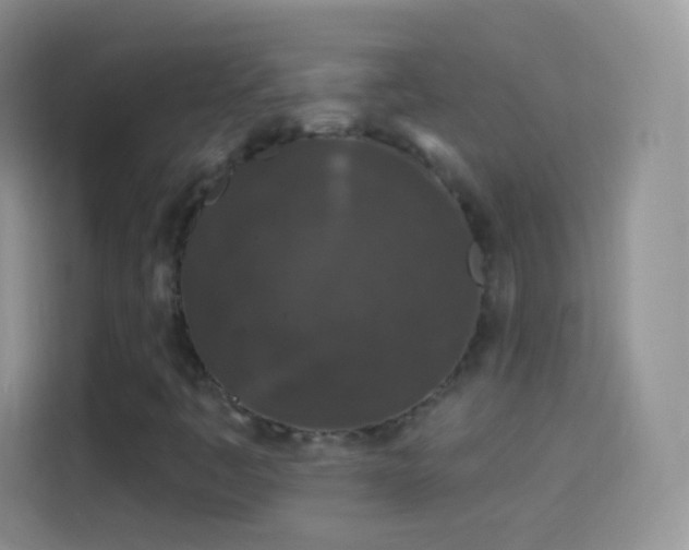 X0000114121445200910131353