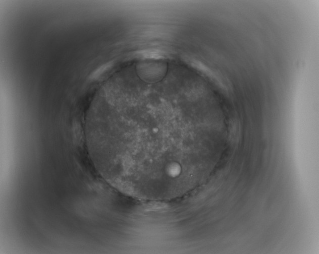 X0000114121446200910131353