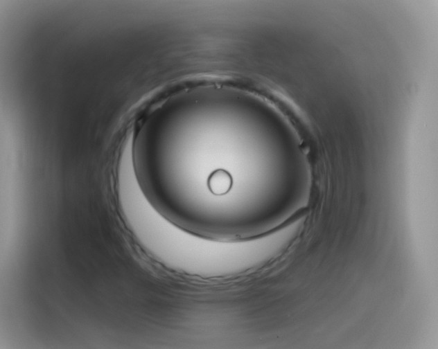 X0000114121448200910131353