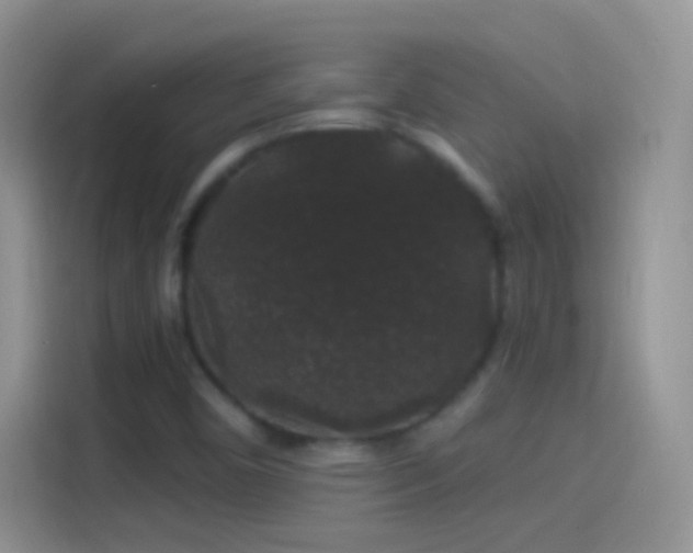 X0000114121450200910131353