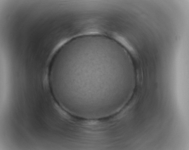 X0000114121452200910131353