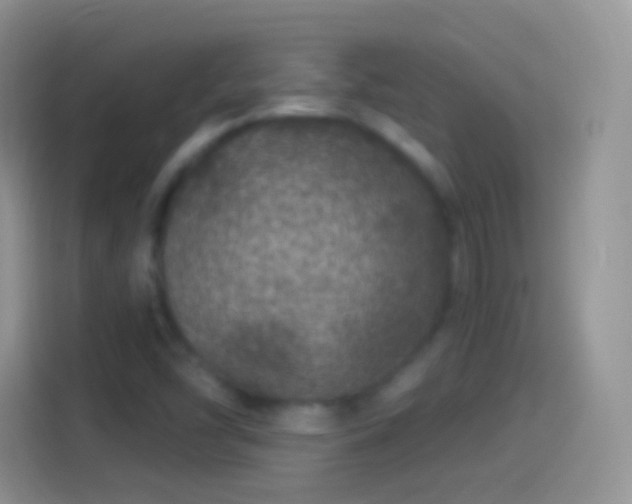 X0000114121454200910131353