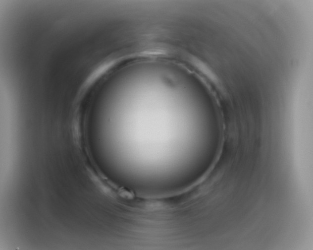 X0000114121456200910131353