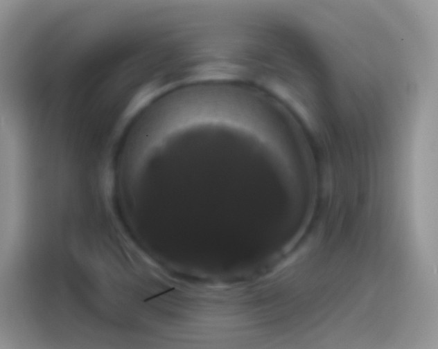 X0000114121459200910131353