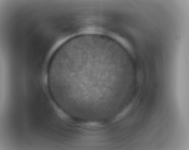 X0000114121462200910131353