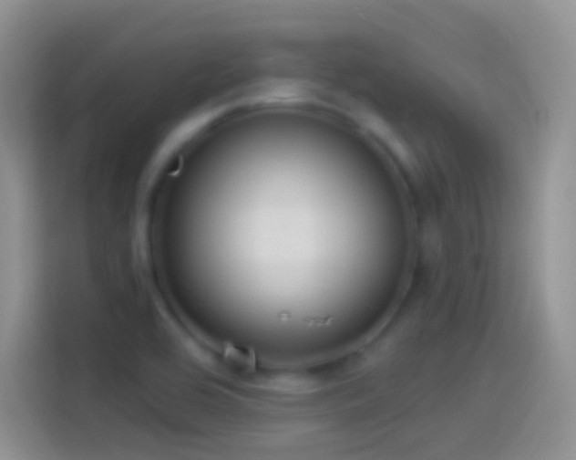 X0000114121464200910131353