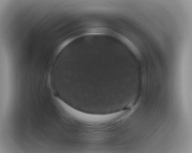 X0000114121465200910131353