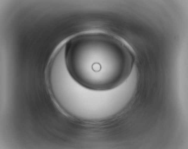 X0000114121468200910131353