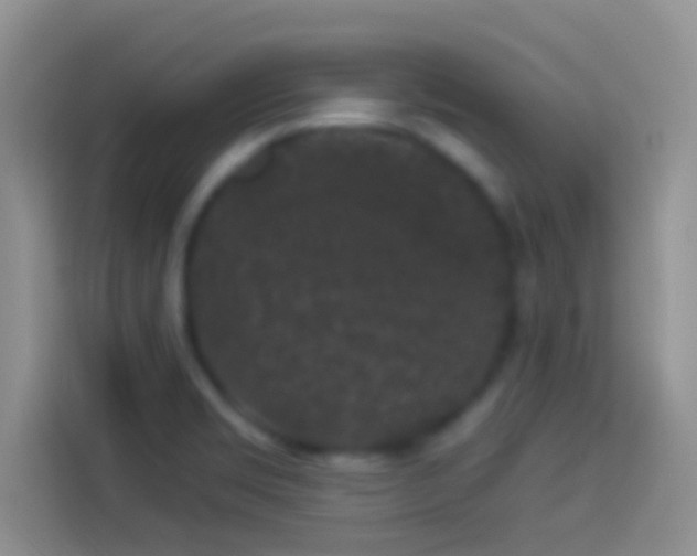 X0000114121469200910131353