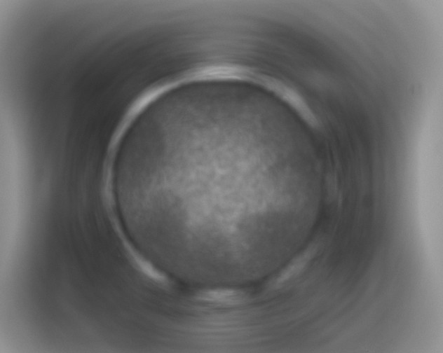 X0000114121470200910131353