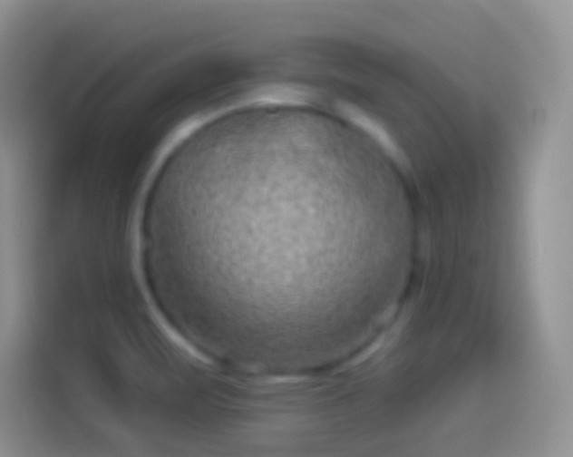 X0000114121471200910131353