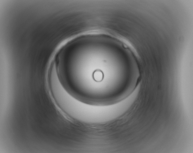 X0000114121472200910131353