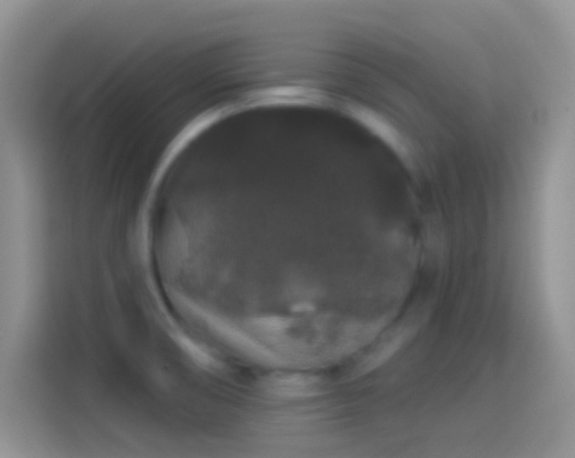 X0000114121474200910131353