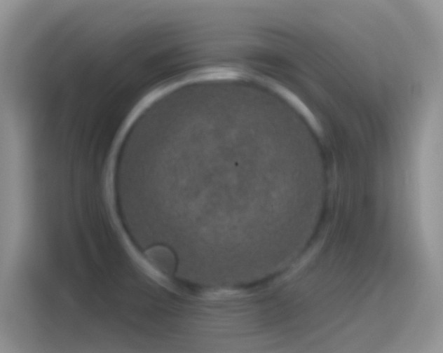 X0000114121475200910131353