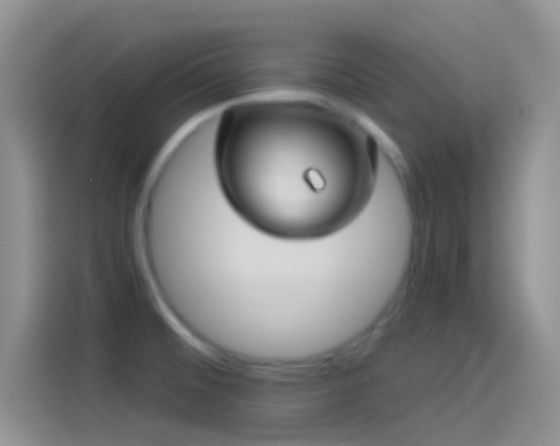 X0000114121476200910131353