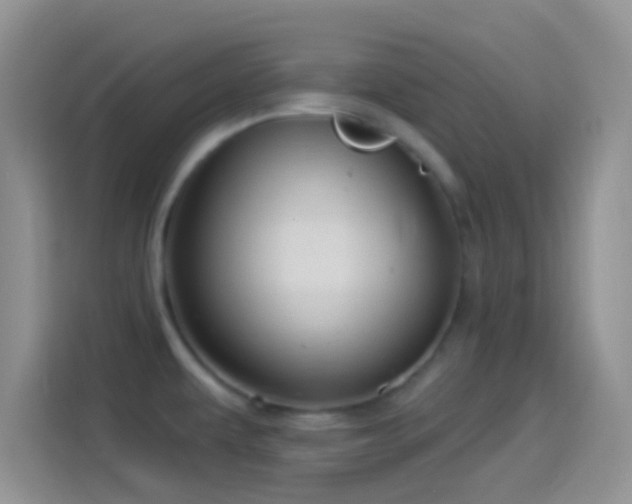 X0000114121479200910131353