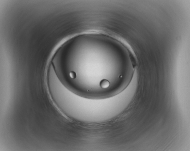 X0000114121480200910131353