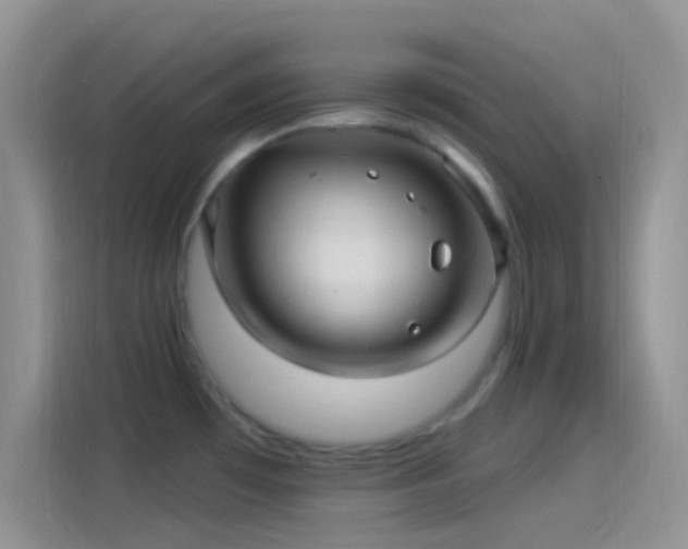 X0000114121481200910131353