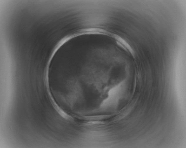 X0000114121482200910131353