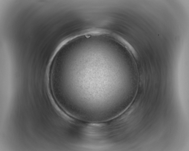 X0000114121483200910131353