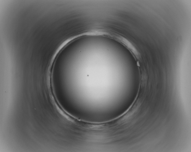 X0000114121484200910131353