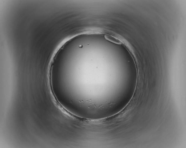 X0000114121488200910131353