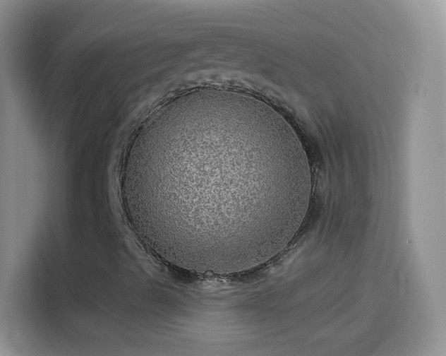 X0000114121489200910131352