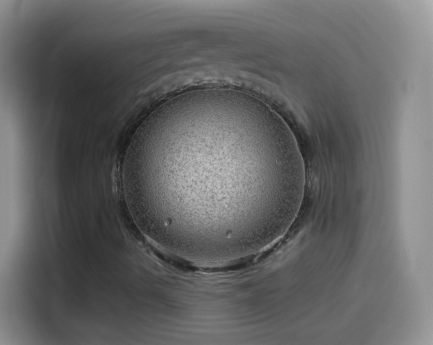 X0000114121490200910131352