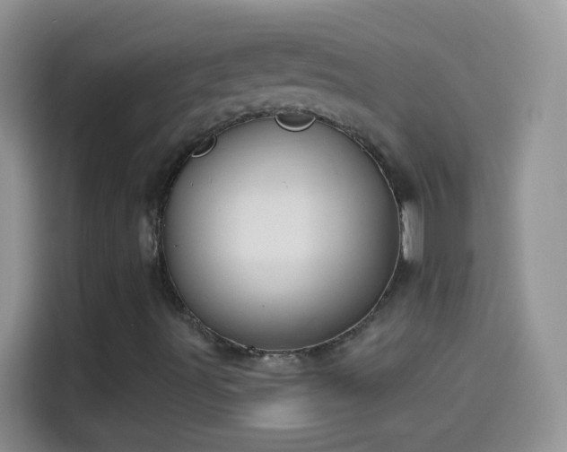 X0000114121491200910131352