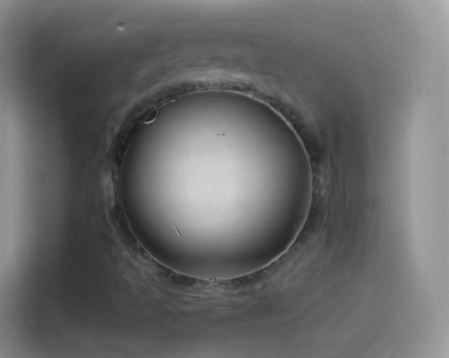 X0000114121493200910131352