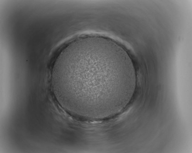 X0000114121494200910131352