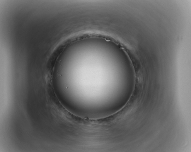 X0000114121495200910131352