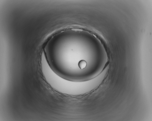 X0000114121496200910131352