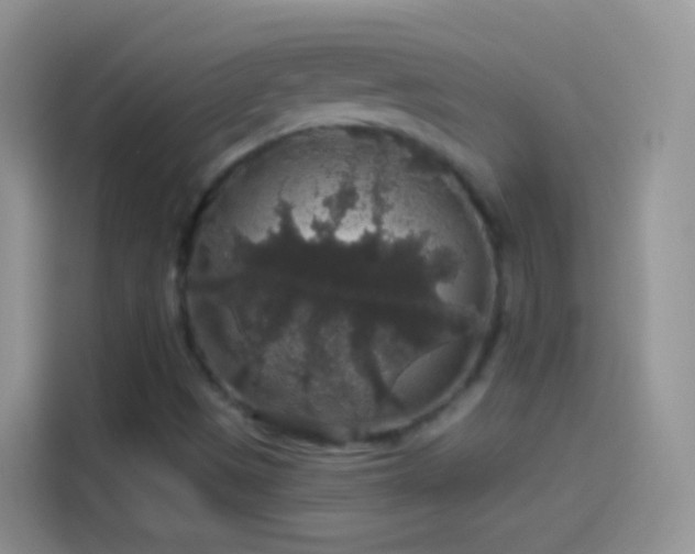 X0000114121497200910131352