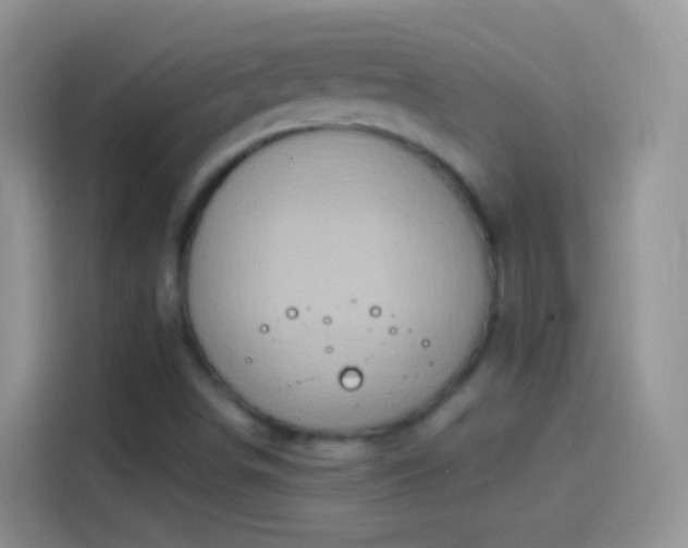 X0000114121498200910131352