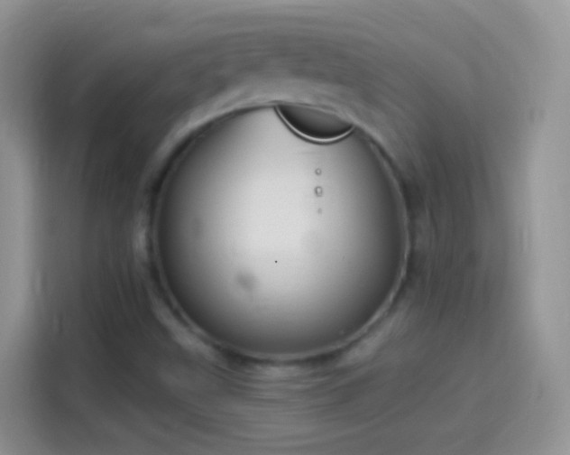 X0000114121499200910131352