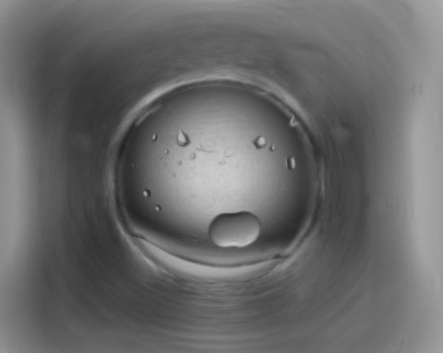 X0000114121500200910131352