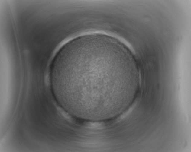 X0000114121501200910131352