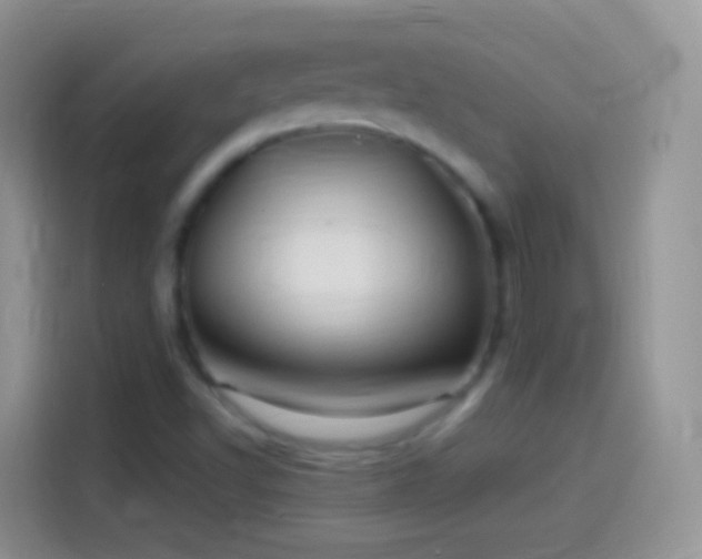 X0000114121502200910131352