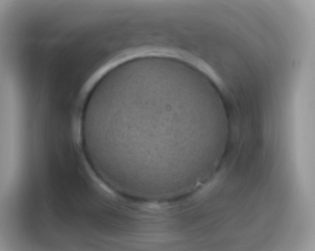 X0000114121504200910131352