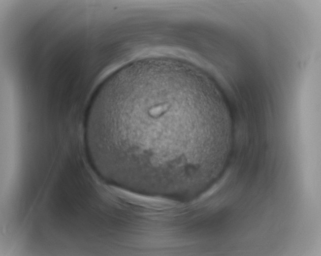 X0000114121505200910131352