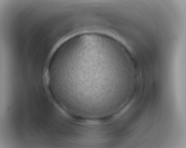 X0000114121509200910131352