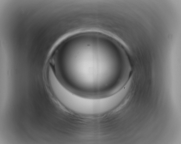 X0000114121510200910131352