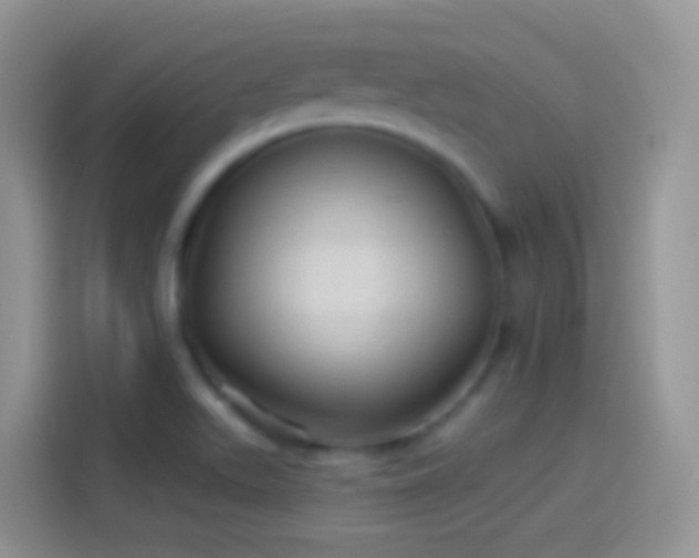 X0000114121511200910131352