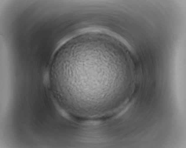 X0000114121513200910131352