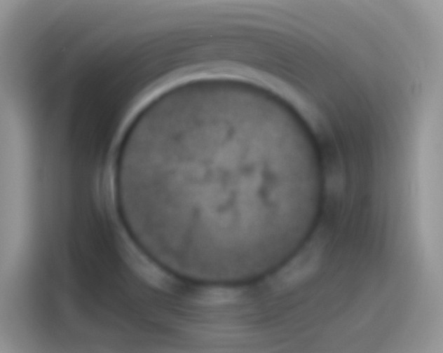 X0000114121514200910131352